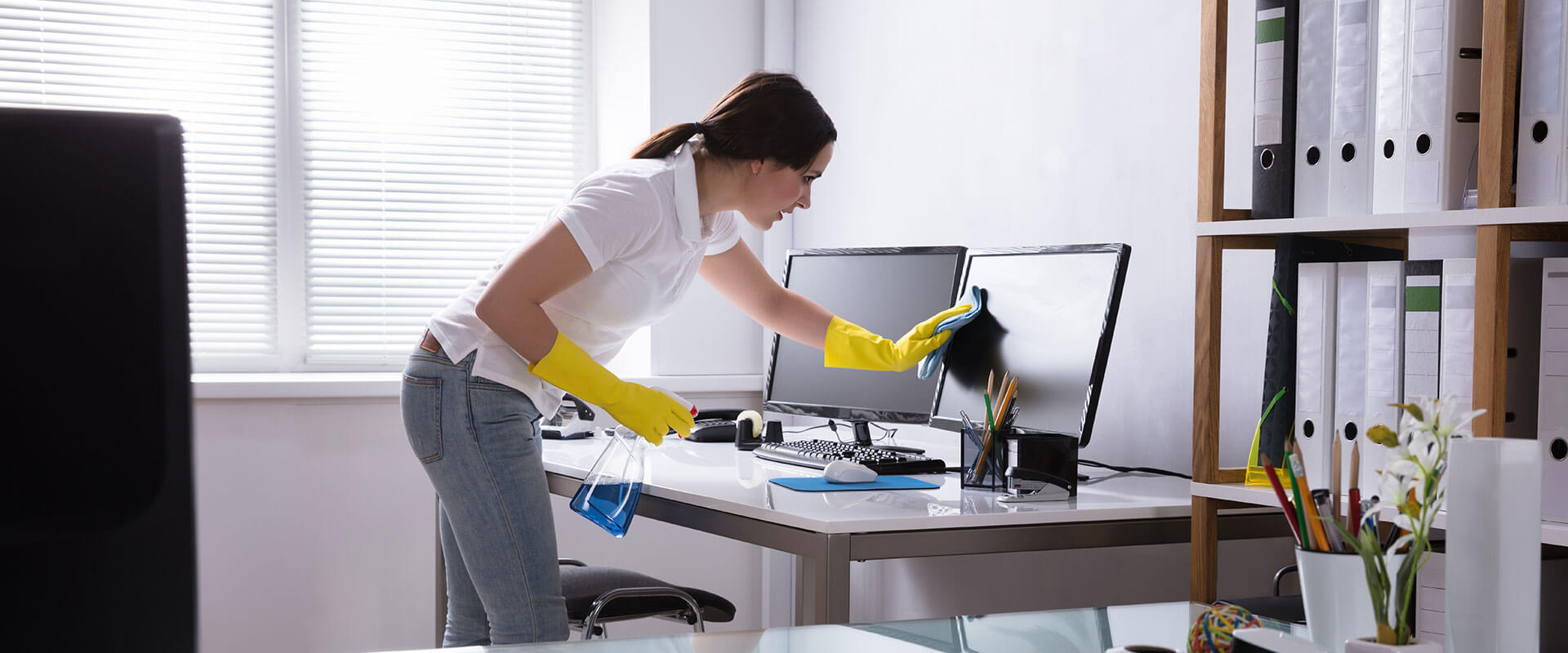 Janitorial Services